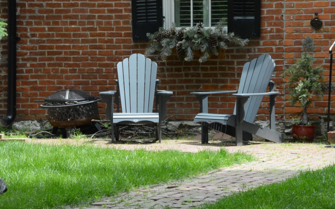 The Cool Green: Secrets to Maintaining a Lawn in Shaded Spots